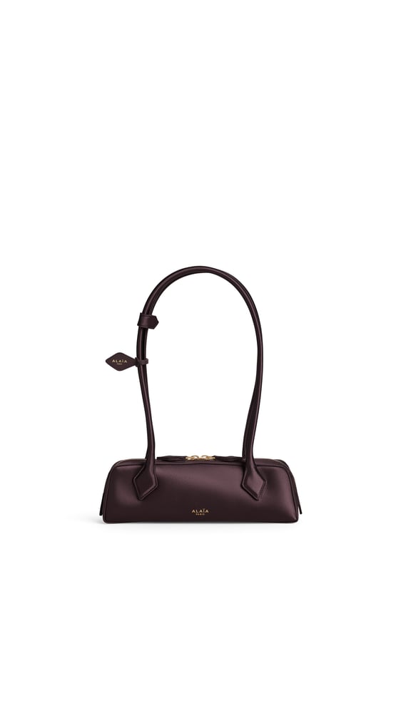 SAC LE TECKEL SMALL EN SATIN