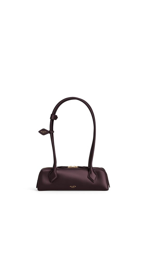 SAC LE TECKEL SMALL EN SATIN