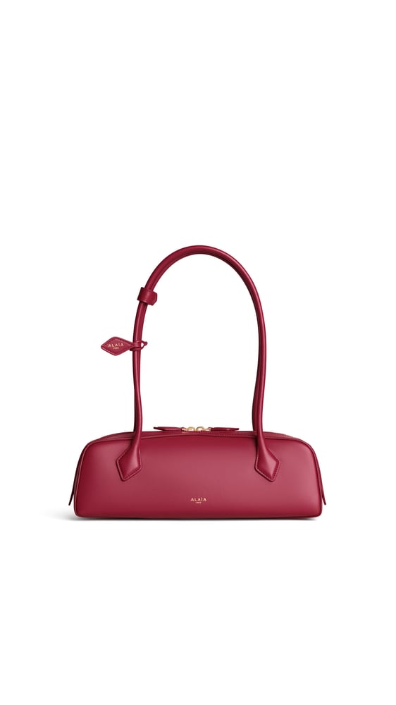 SAC LE TECKEL MEDIUM EN CUIR