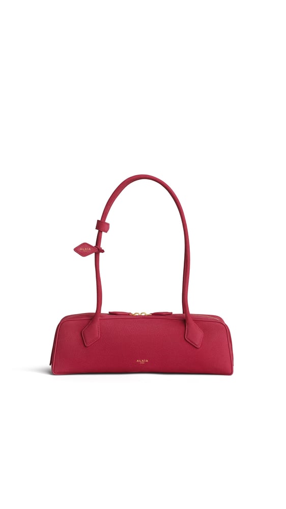 SAC LE TECKEL MEDIUM EN NUBUCK