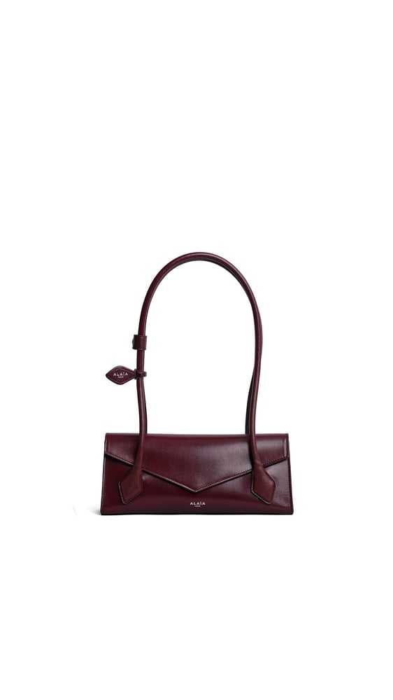 SAC LE TECKEL FLAP SMALL EN CUIR BRILLANT