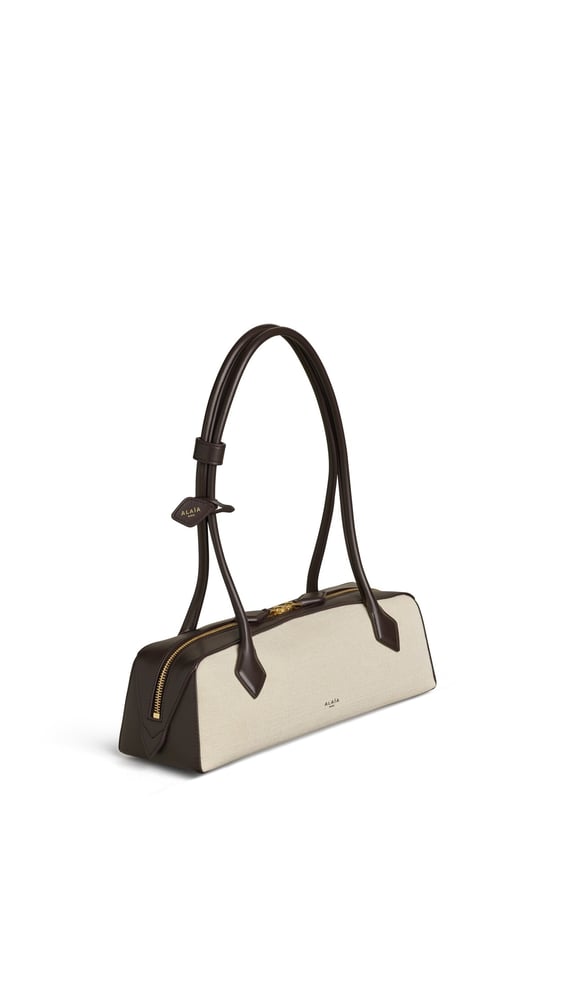 SAC LE TECKEL MEDIUM EN TOILE