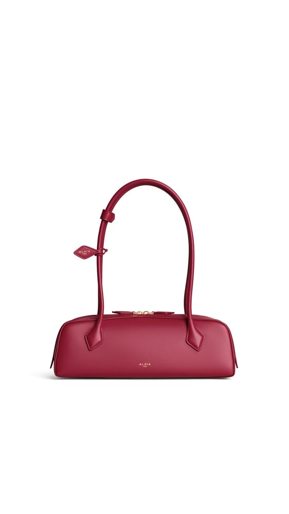 SAC LE TECKEL MEDIUM EN CUIR