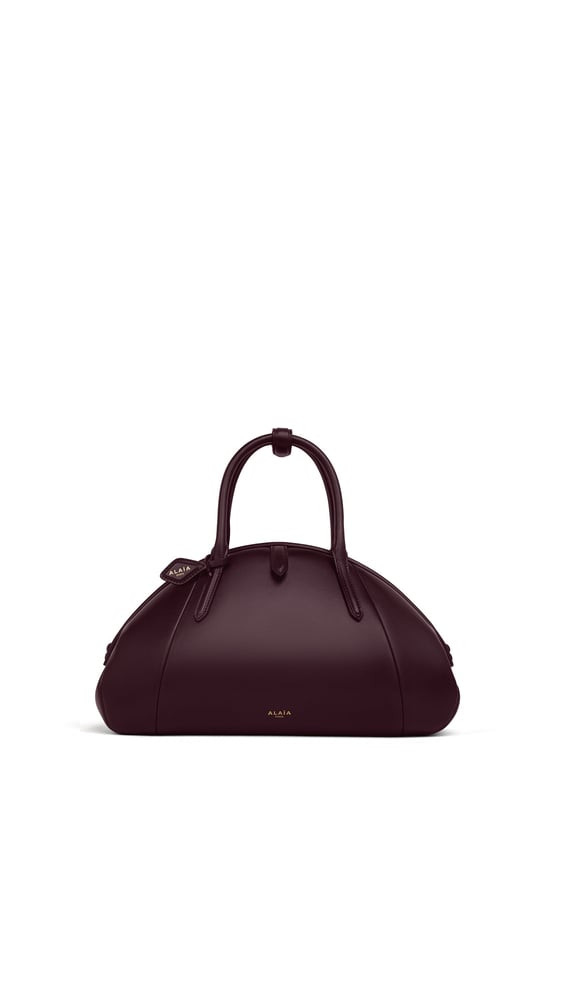 SAC PURSE PORTÉ MAIN EN CUIR
