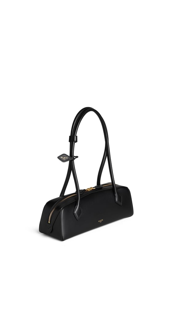 SAC LE TECKEL MEDIUM EN CUIR