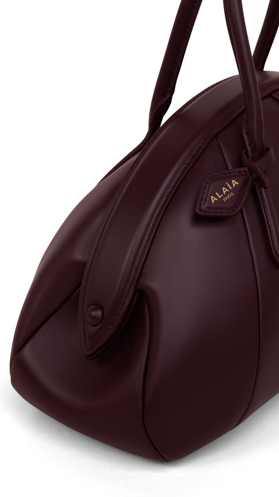 SAC PURSE PORTÉ MAIN EN CUIR