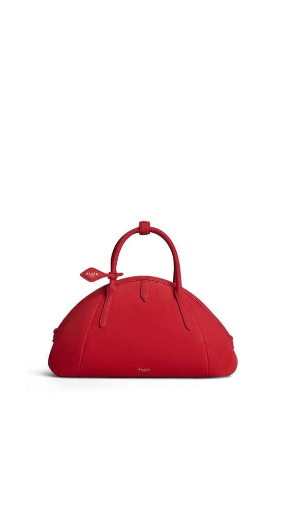SAC PURSE PORTÉ MAIN EN NUBUCK