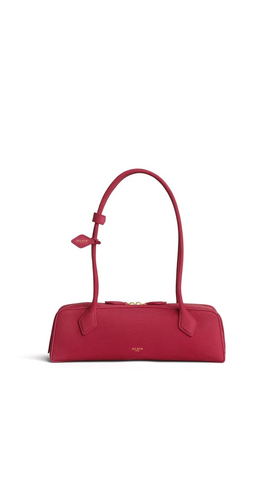 SAC LE TECKEL MEDIUM EN NUBUCK