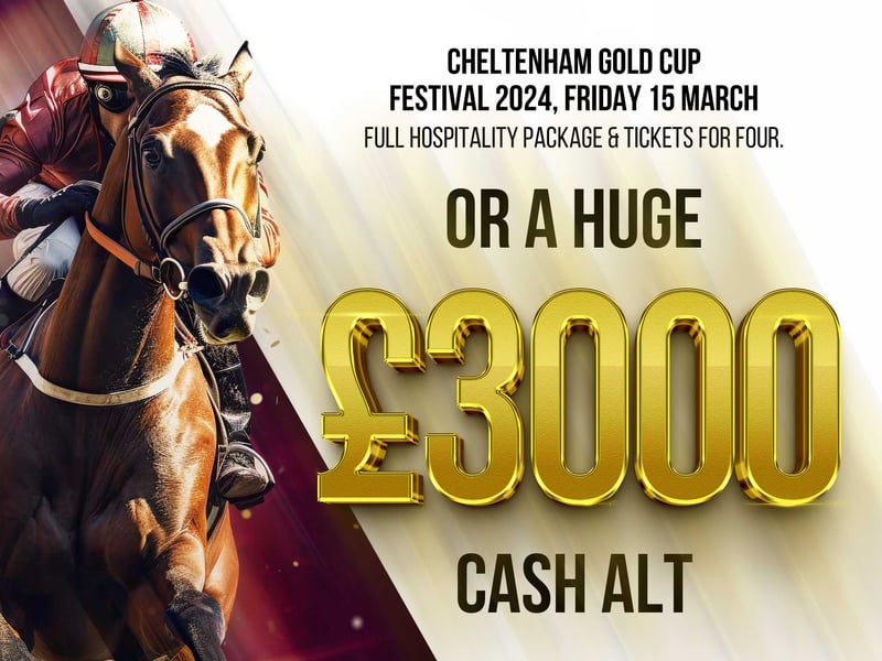 Cheltenham Gold Cup Day for 4 People #2
