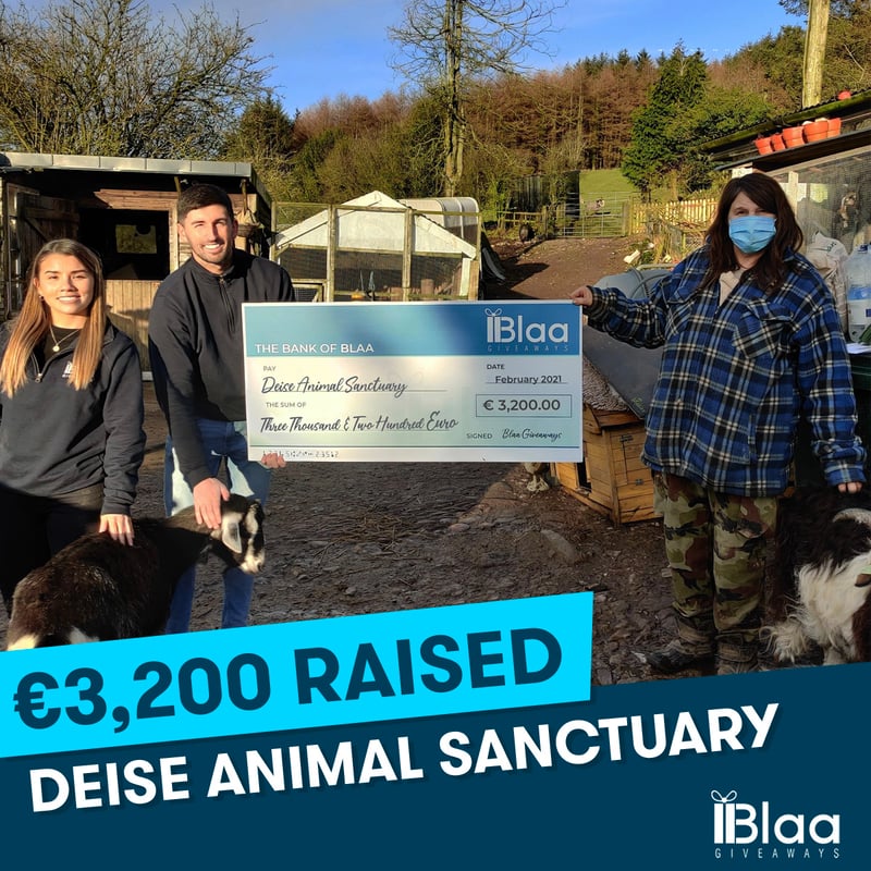 Deise Animal Sanctuary, February 2021
