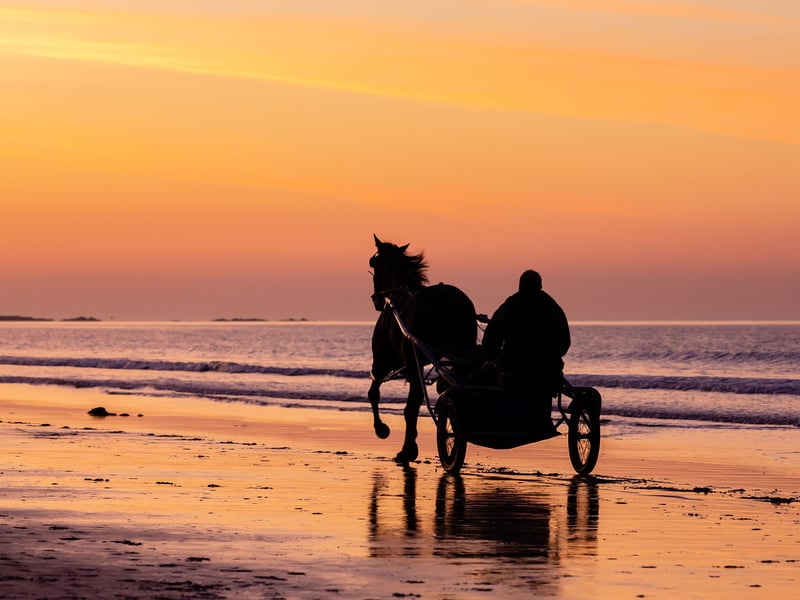 Portrush Apartment or £150,000 Flash Comp!