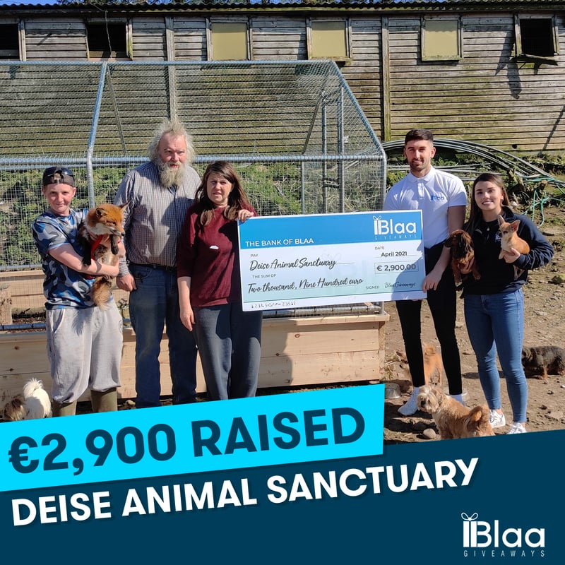 Deise Animal Sanctuary, March 2021