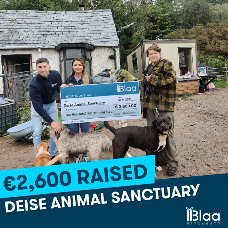 Deise Animal Sanctuary, Sept 2021