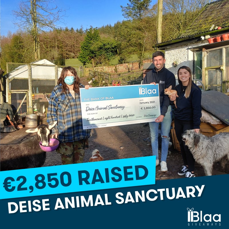 Deise Animal Sanctuary, January 2021