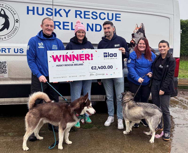 Husky Rescue Ireland, Jan 2026
