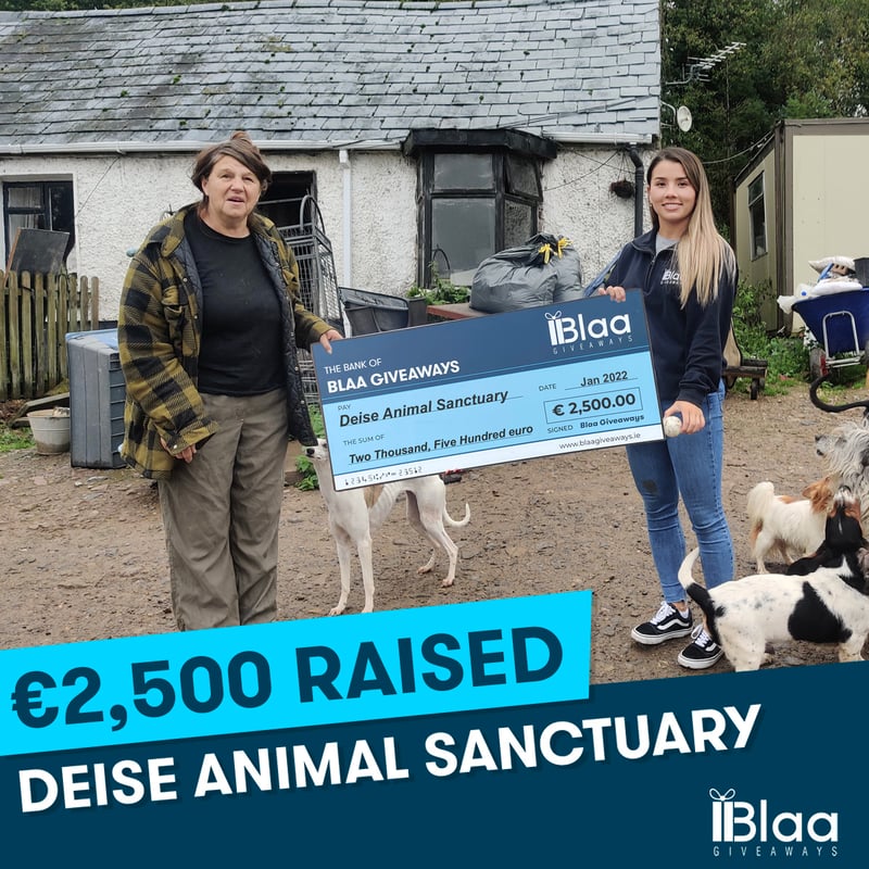 Deise Animal Sanctuary, Jan 2022