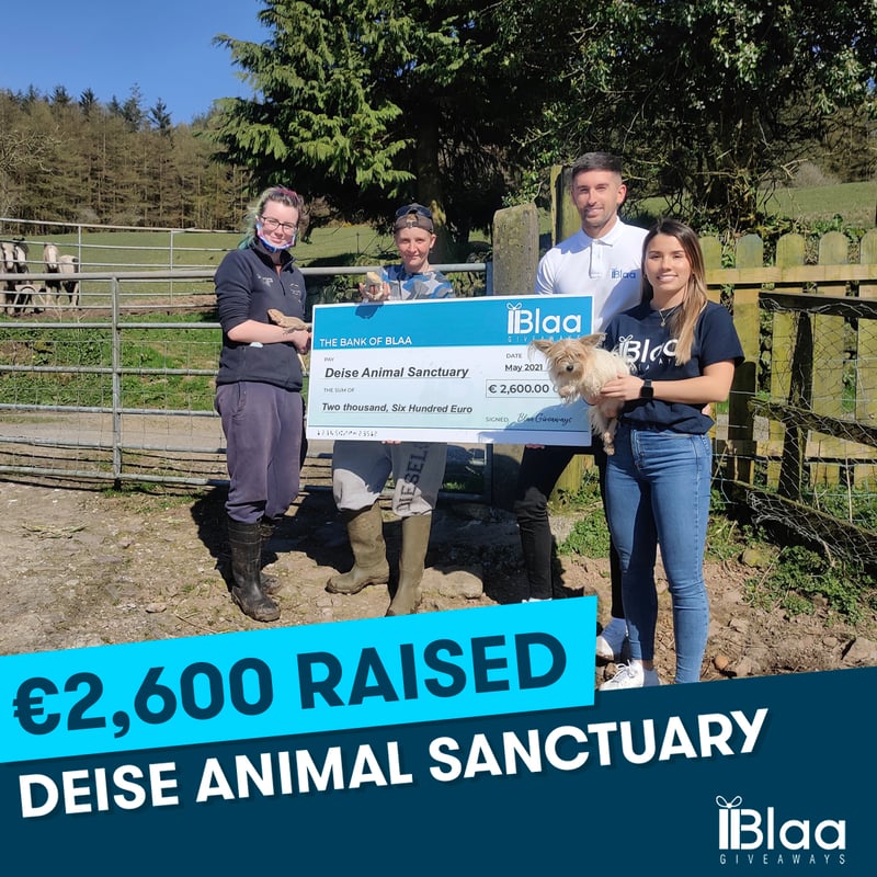 Deise Animal Sanctuary, May 2021
