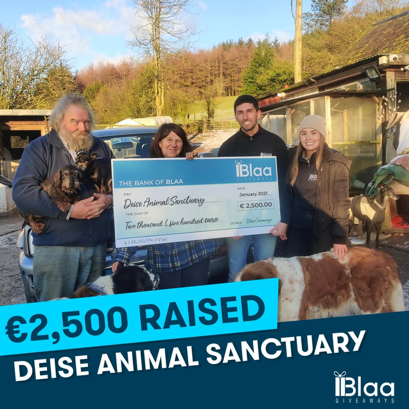 Deise Animal Sanctuary, January 2021
