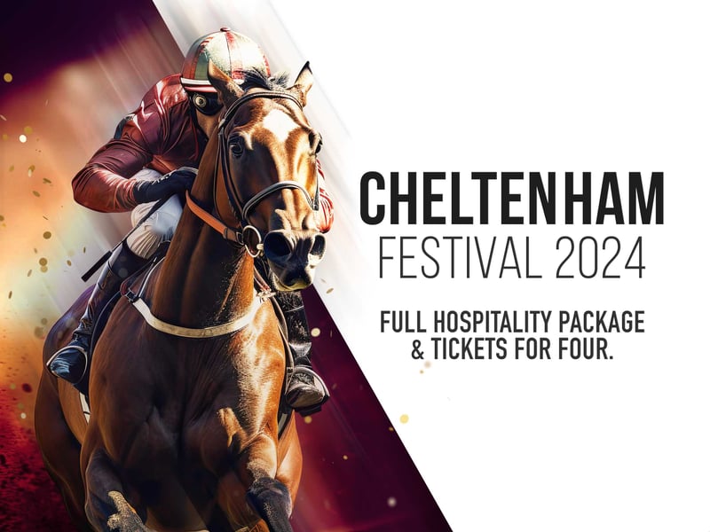 Cheltenham Gold Cup Day for 4 People
