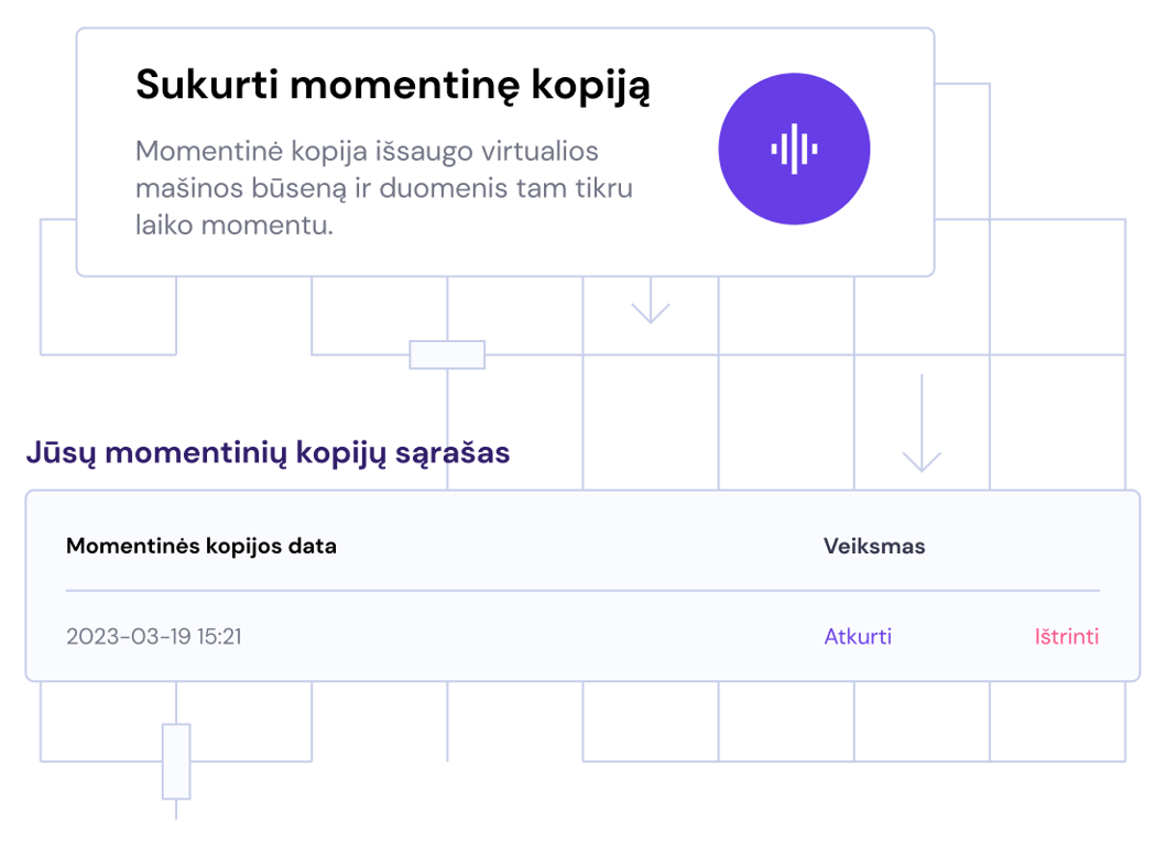 Atsarginės ir momentinės kopijos