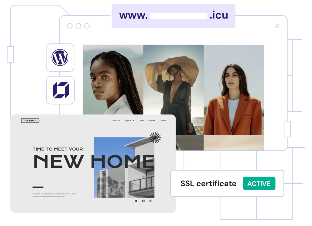 .icu domain