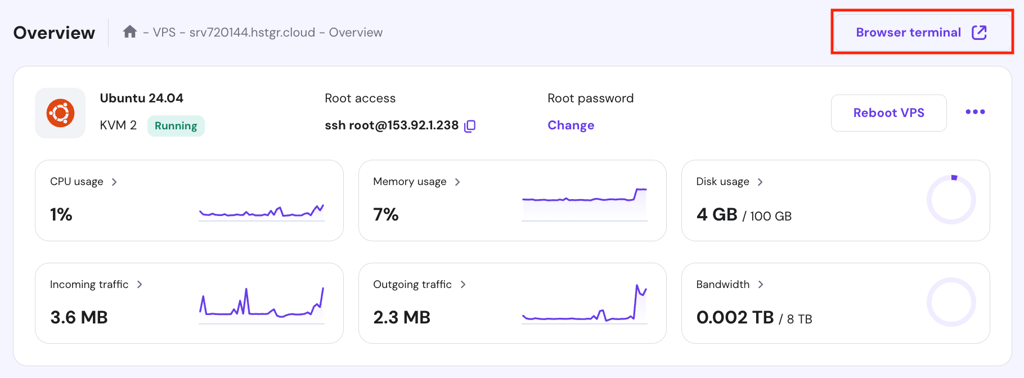 Browser terminal button in hPanel VPS overview