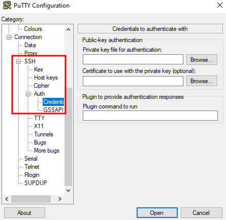 The credentials window on putty client