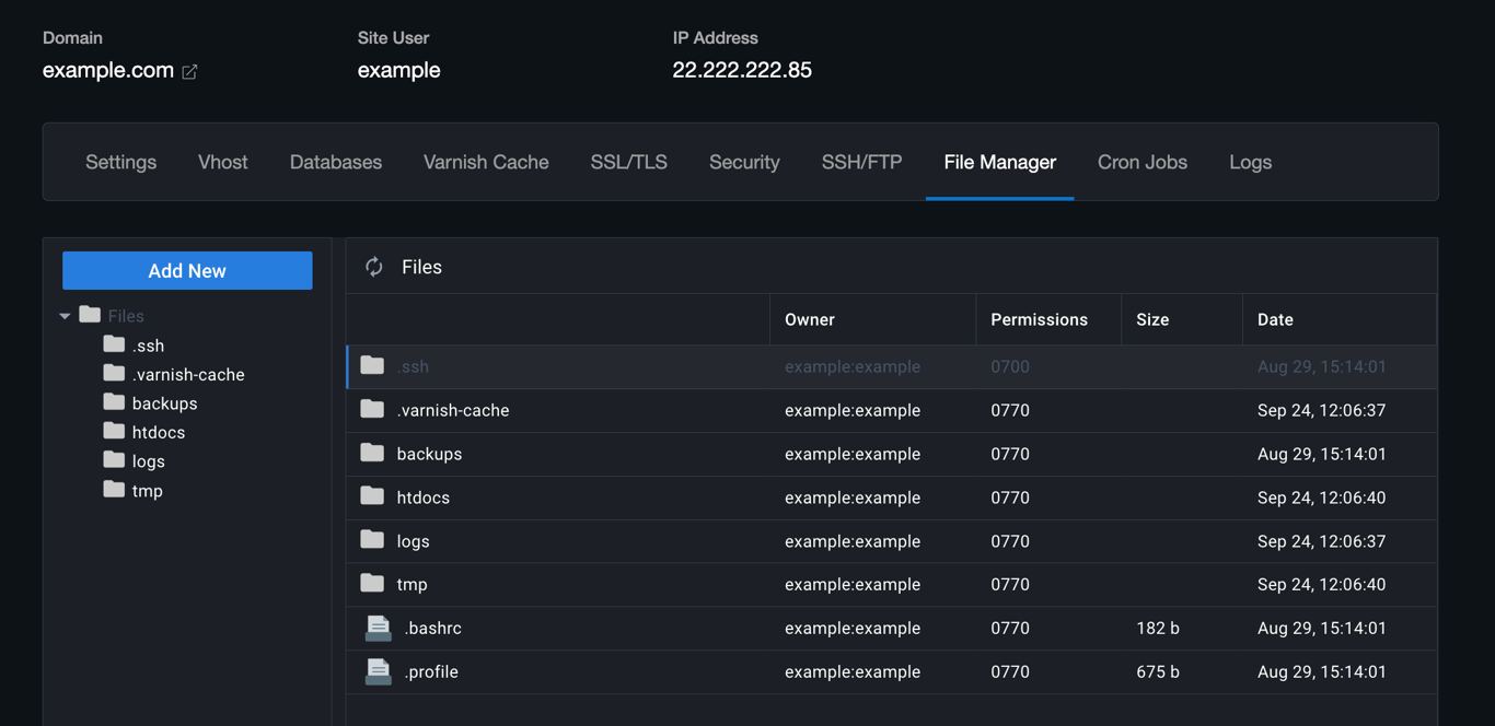 Host control panel interface with File Manager option highlighted.