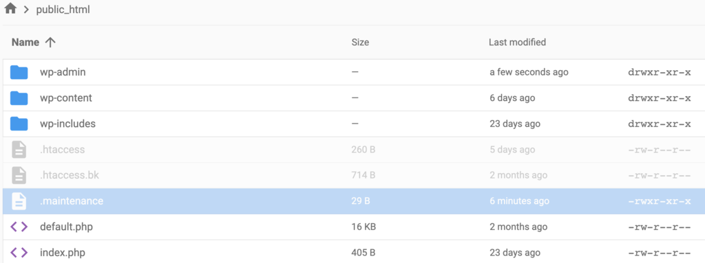The maintenance file on the File Manager 