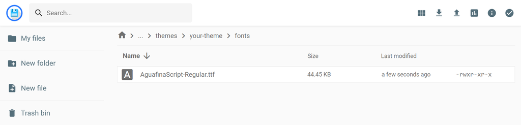 The File Manager on hPanel, showing where the AguafinaScript-Regular.ttf file is in the your-theme folder in wp-content