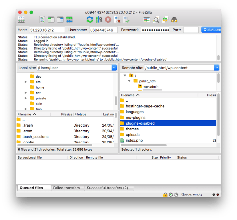 IMPACT's newsletter subscription pop-up campaign