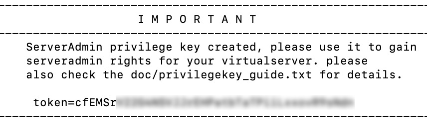 Terminal output with server token for TeamSpeak server