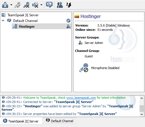 The main TeamSpeak client window when a user connects to a server