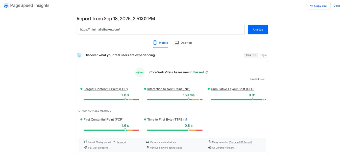 Google PageSpeed Insights test results
