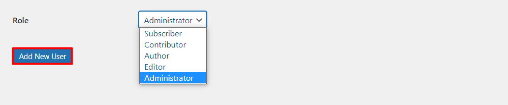 Roles for a new user in WordPress
