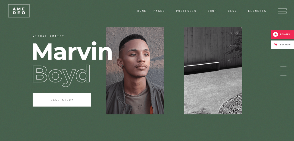 Amadeo WordPress Portfolio Theme