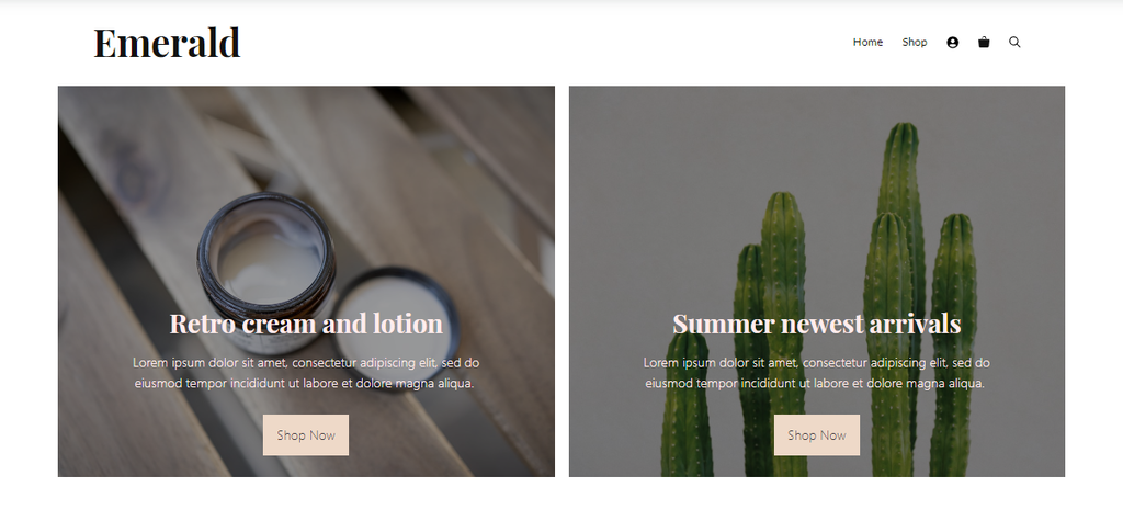 Generate Press Th&egrave;me WordPress d'e-commerce