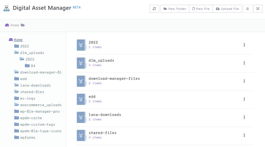 Digital asset manager feature on the WordPress Download Manager