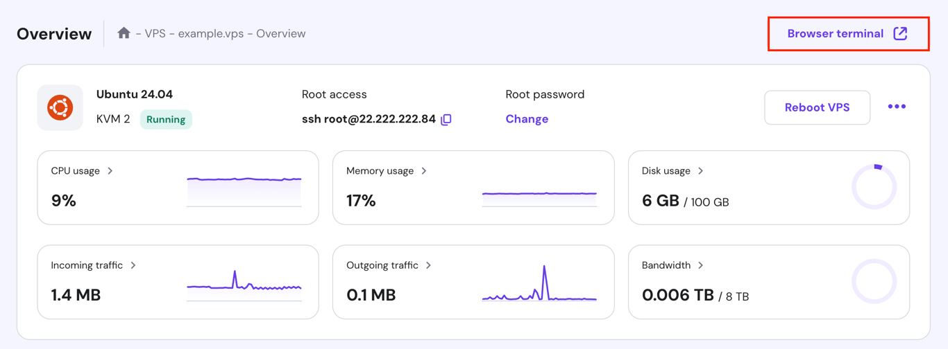 The Browser terminal button in VPS' Overview page of hPanel