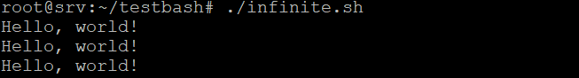 The infinite bash for loop output