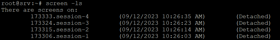 Terminal lists all the running Screen sessions