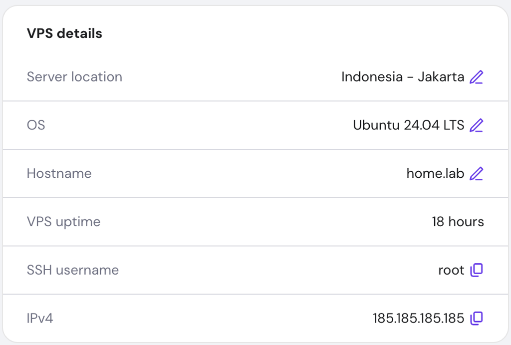 The VPS details menu on hPanel