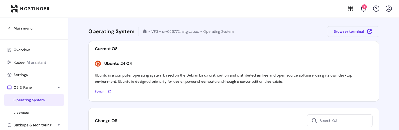 VPS operating system information in hPanel