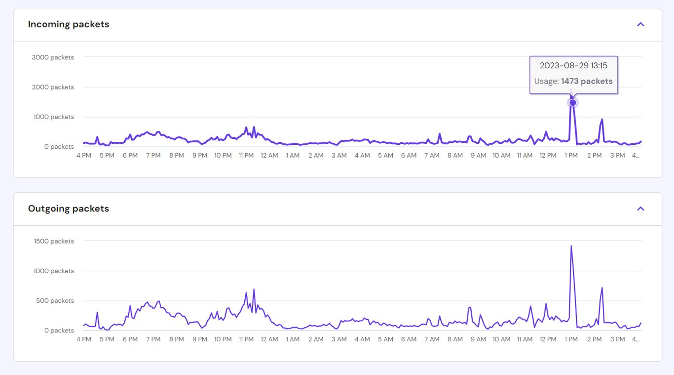 Packet transmission graph in Hostinger VPS Server Usage menu