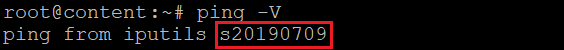 Ping version output in Terminal