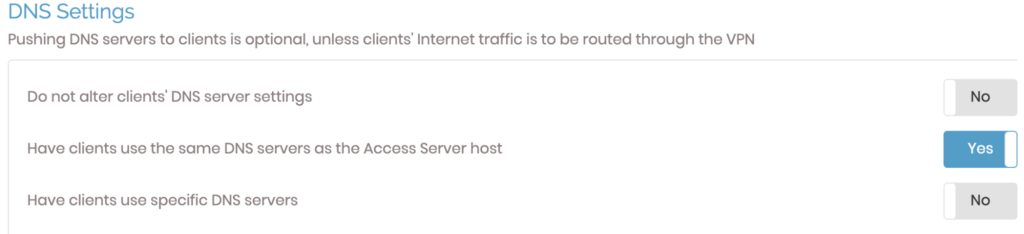 The DNS settings section on the OpenVPN dashboard