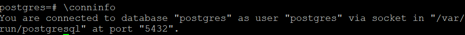 The conninfo command outputs a confirmation message on Terminal