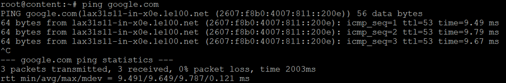 The ping output for google domain