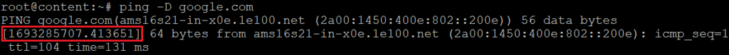 The ping output with the -D option
