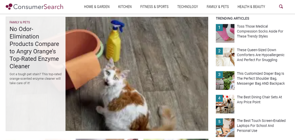 ConsumerSearch homepage